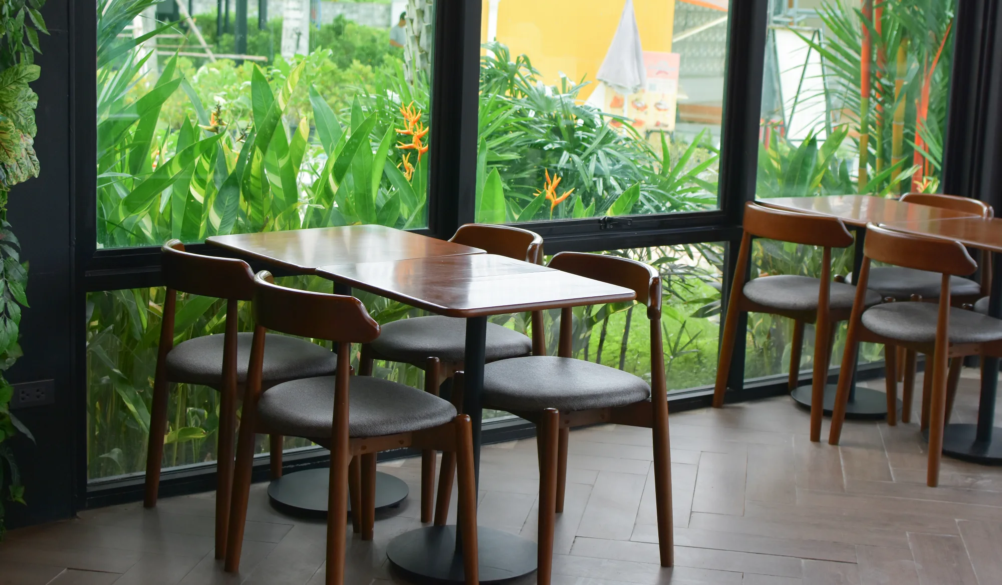 Media image