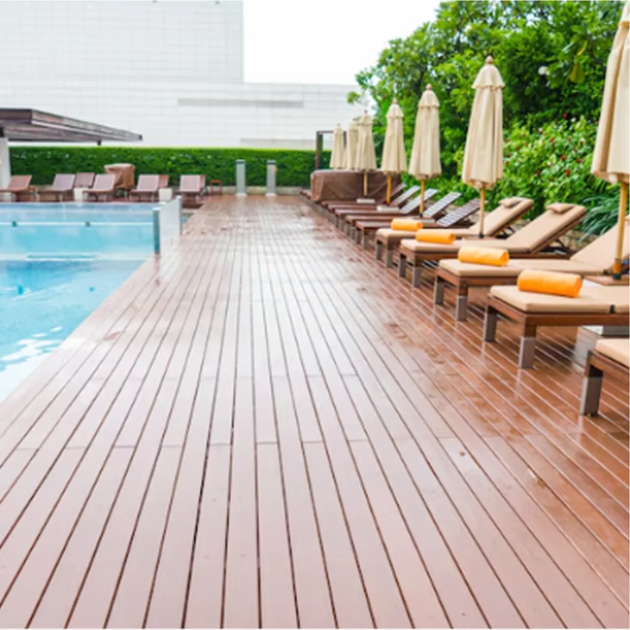 Hotels & Resorts