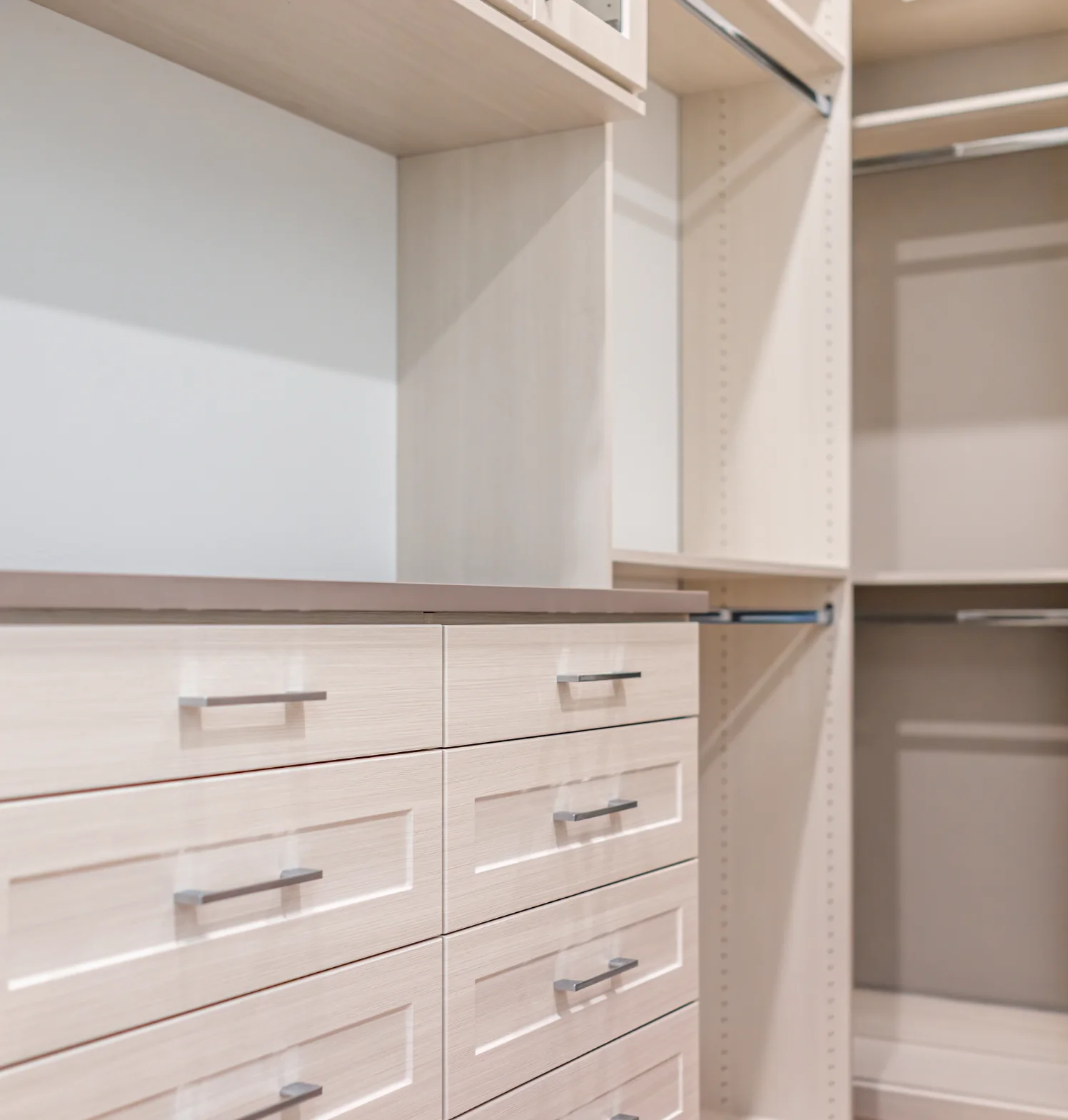 Custom Closet Finishes Without the Limitations of Traditional Materials